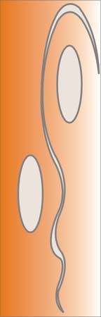 kris30